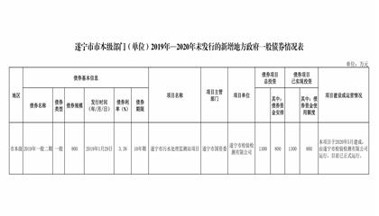 遂寧市市本級(jí)部門（單位）2019年—2020年末發(fā)行的新增地方政府一般債券情況表